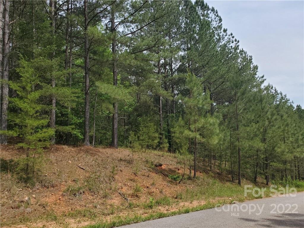 Property image 1 at 0 Ashley Court, Mill Spring, NC 28756