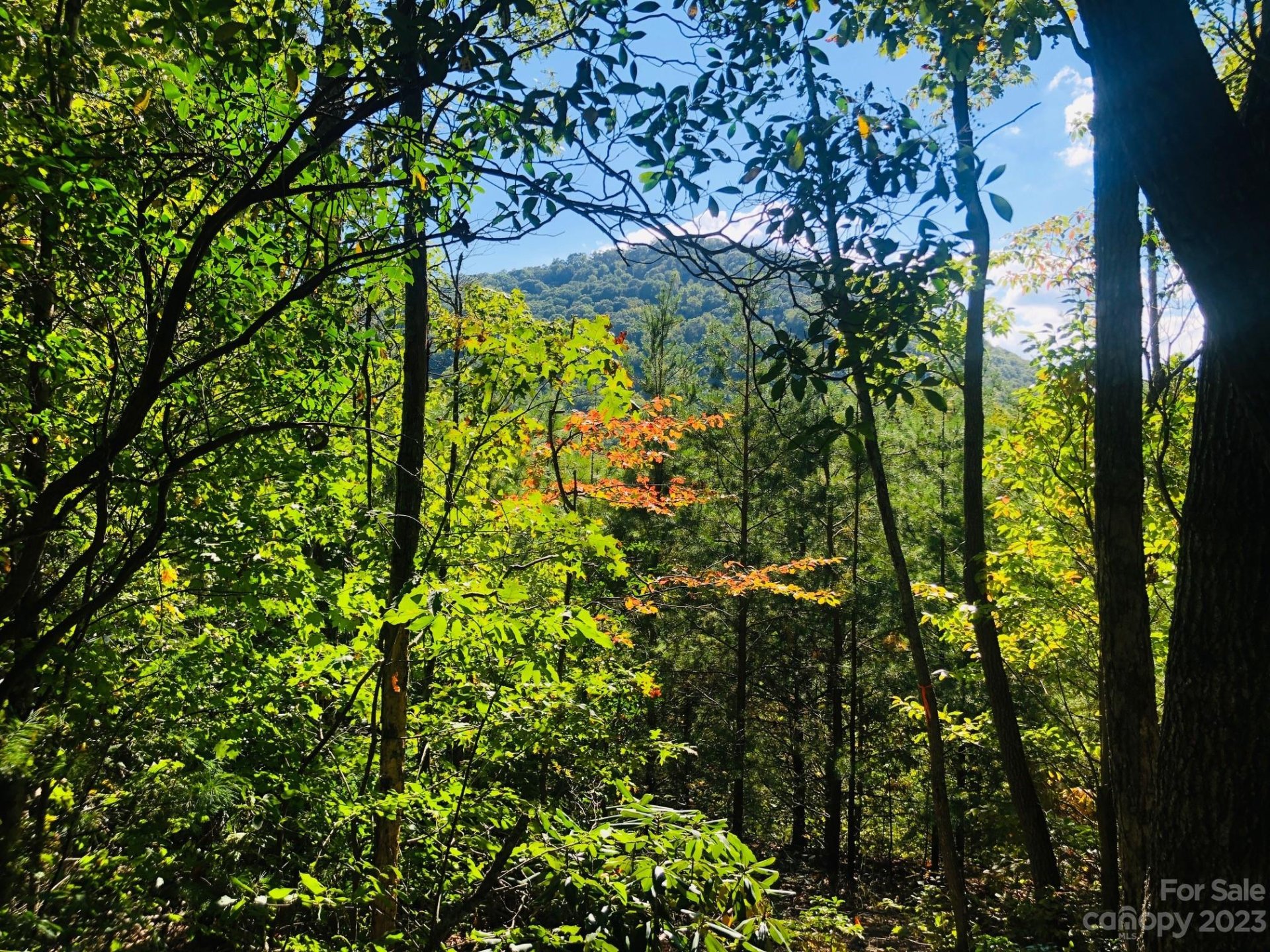 Property image 1 at 10 Piney Trace Loop, Fairview, NC 28730