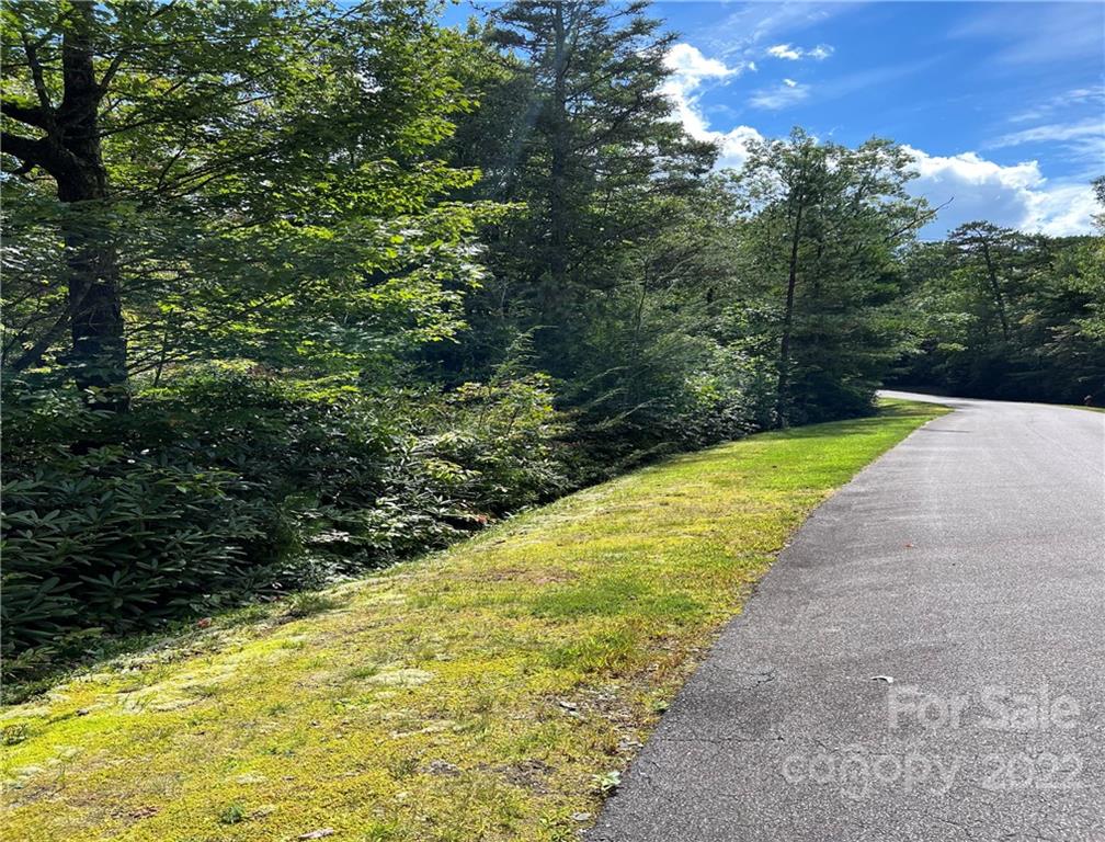 Property image 1 at M93 Hawks Crest, Brevard, NC 28712