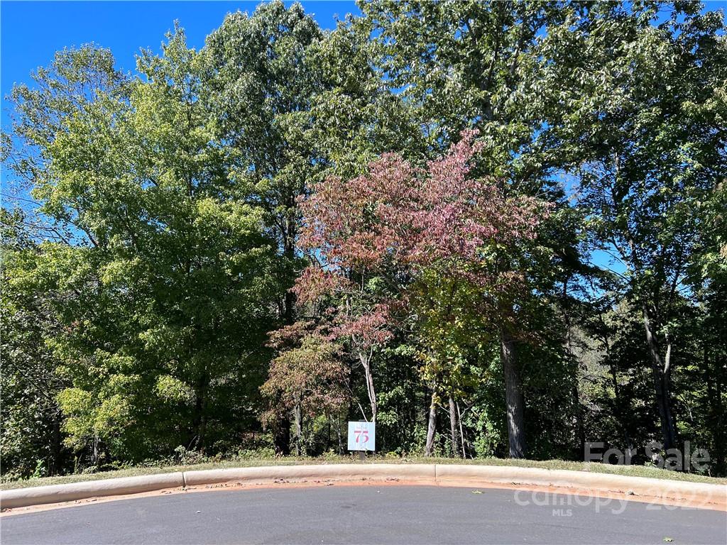 Property image 1 at 406 Blue Mind Way, Asheville, NC 28804