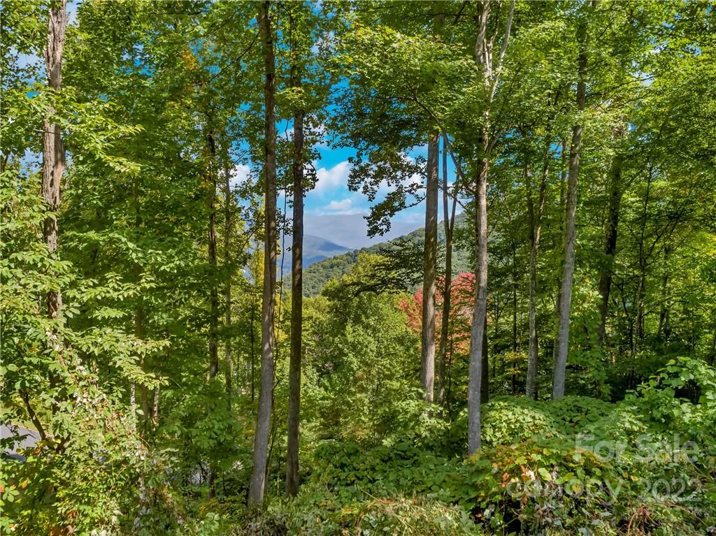 Property image 1 at 1332 Daydream Ridge, Swannanoa, NC 28778