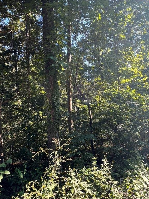 Property image 1 at 1538 Fairway Drive, Newton, NC 28658