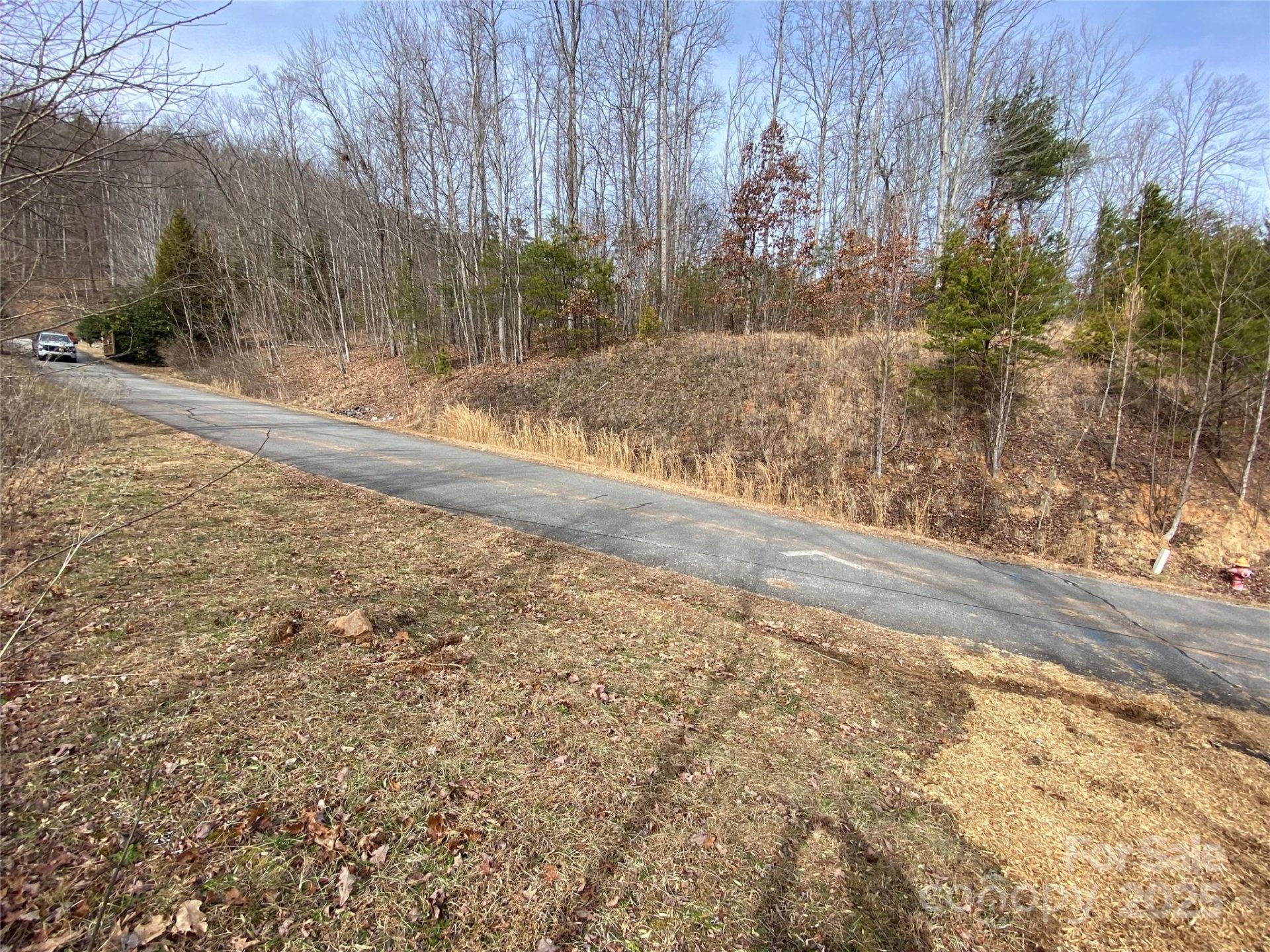 Property image 3 at 46 Holmstead Drive, Lake Lure, NC 28746