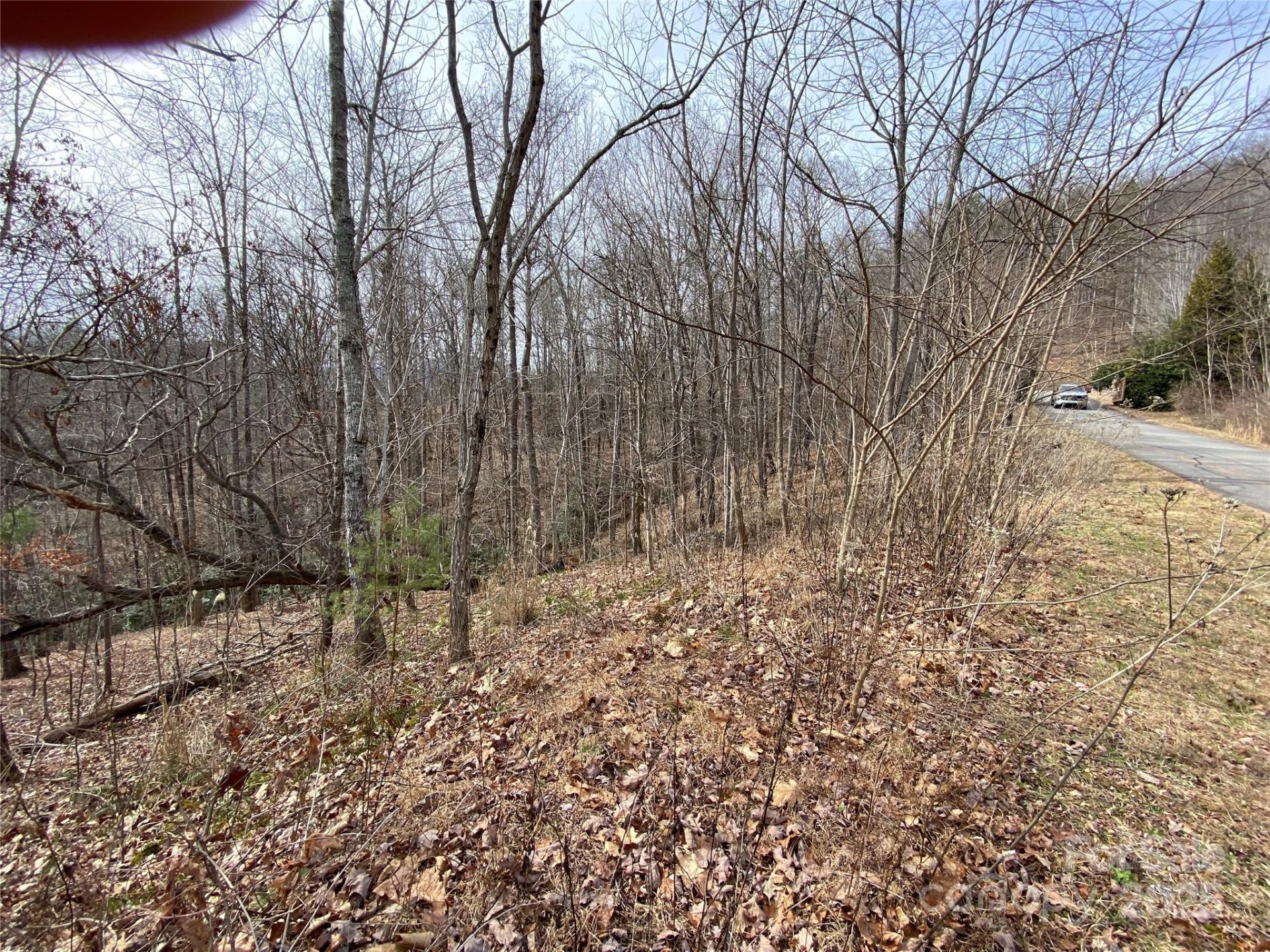 Property image 4 at 46 Holmstead Drive, Lake Lure, NC 28746