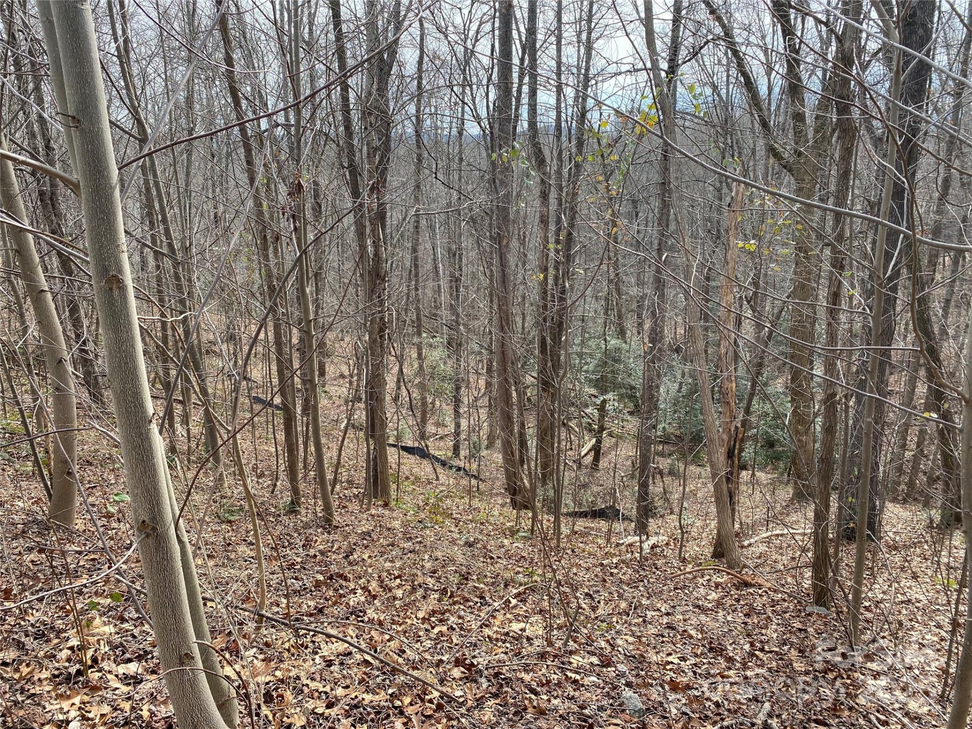 Property image 5 at 46 Holmstead Drive, Lake Lure, NC 28746