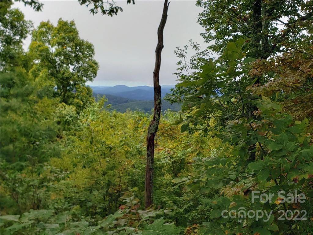 Property image 1 at 104 Windcliff Drive, Asheville, NC 28803