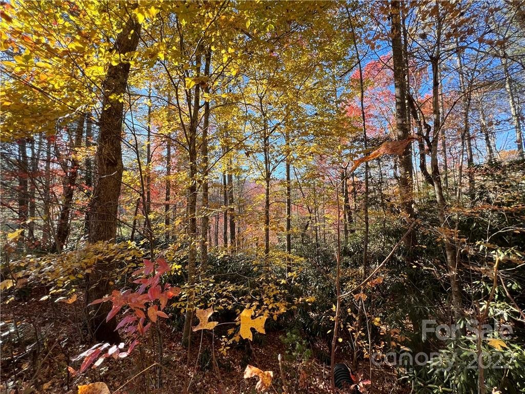 Property image 1 at 000 Cub Den Drive, Marshall, NC 28753