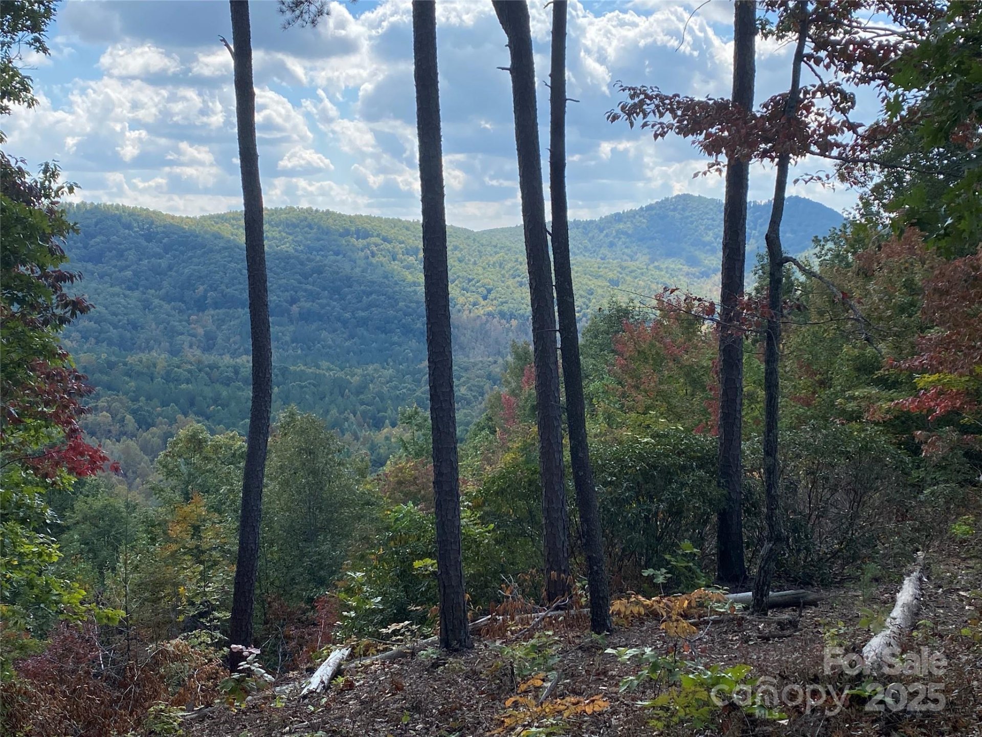 Property at 61 Scenic Vista Drive, Nebo, NC 28761