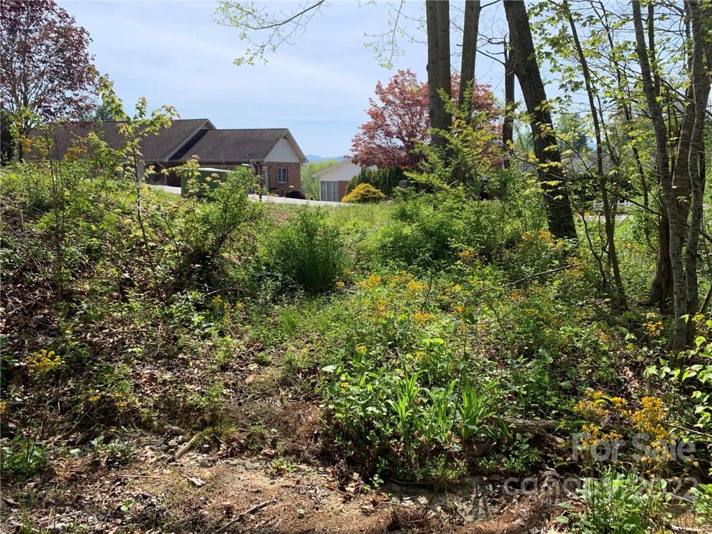 Property image 1 at 0000 Mountain Valley Drive, Hendersonville, NC 28739