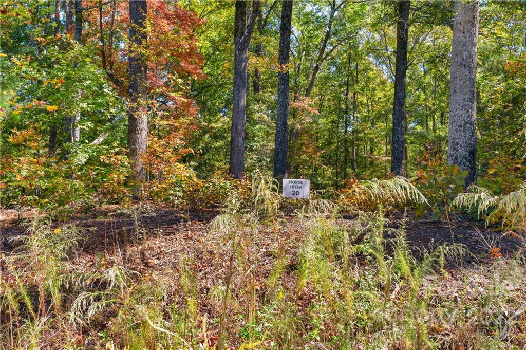 Property image 1 at 0 Walkaloosa Way, Mooresboro, NC 28114