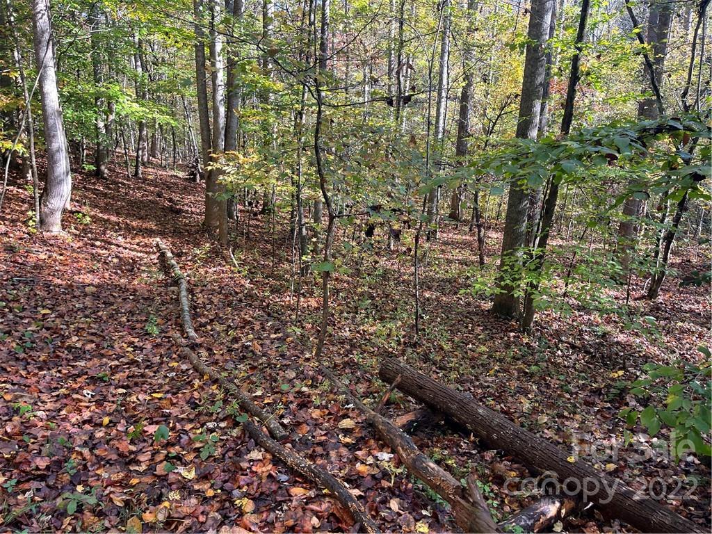 Property image 1 at Tbd Haven Heights Drive, Marion, NC 28752