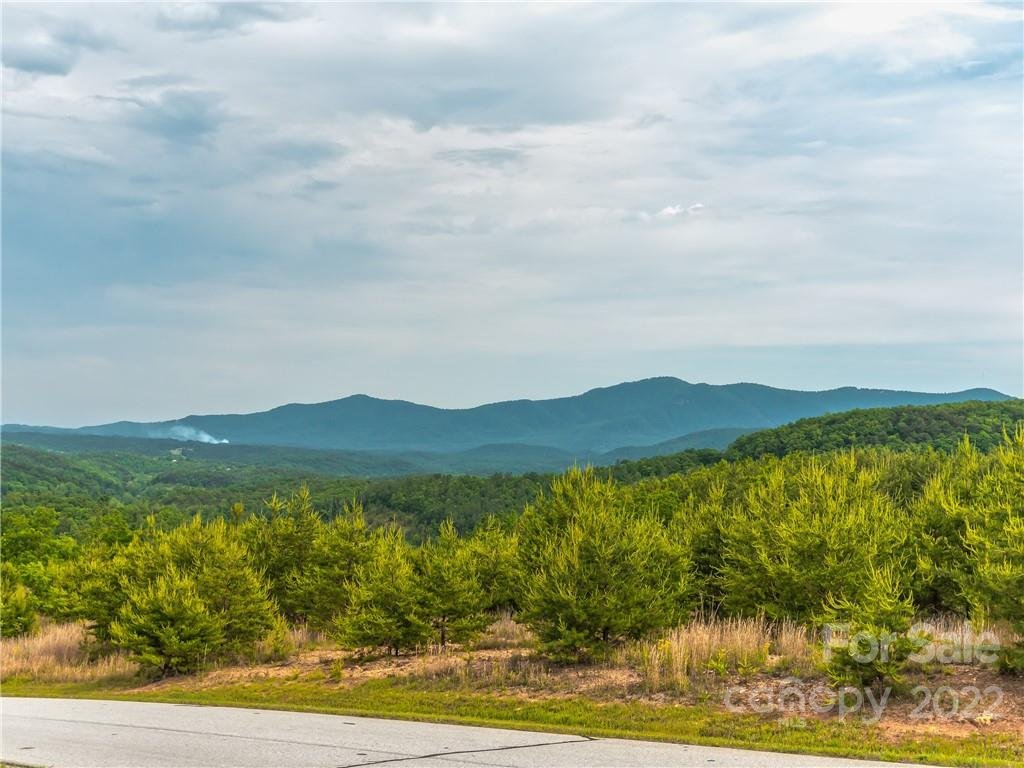 Property image 1 at Lot 163 Deep Gap Farm Road, Mill Spring, NC 28756