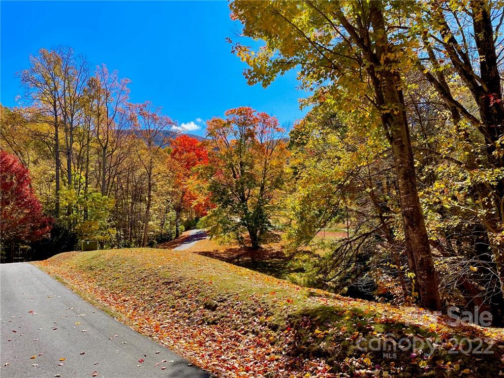 Property at 0 Blair Athel Point, Waynesville, NC 28786