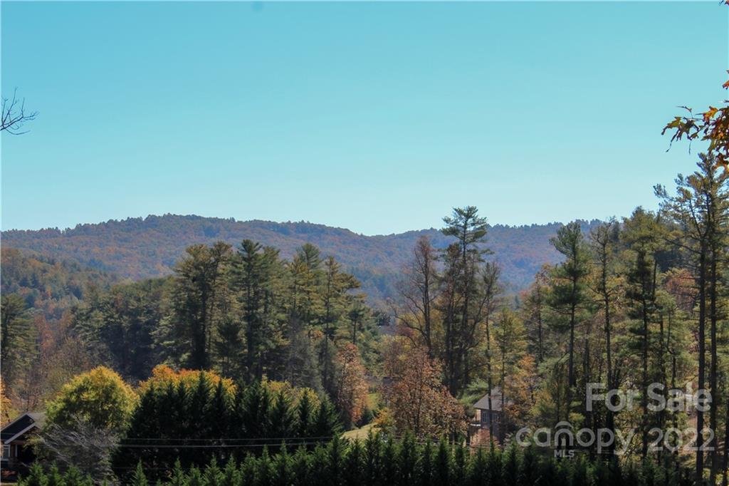 Property image 1 at 183 A Virea Drive, Hendersonville, NC 28739