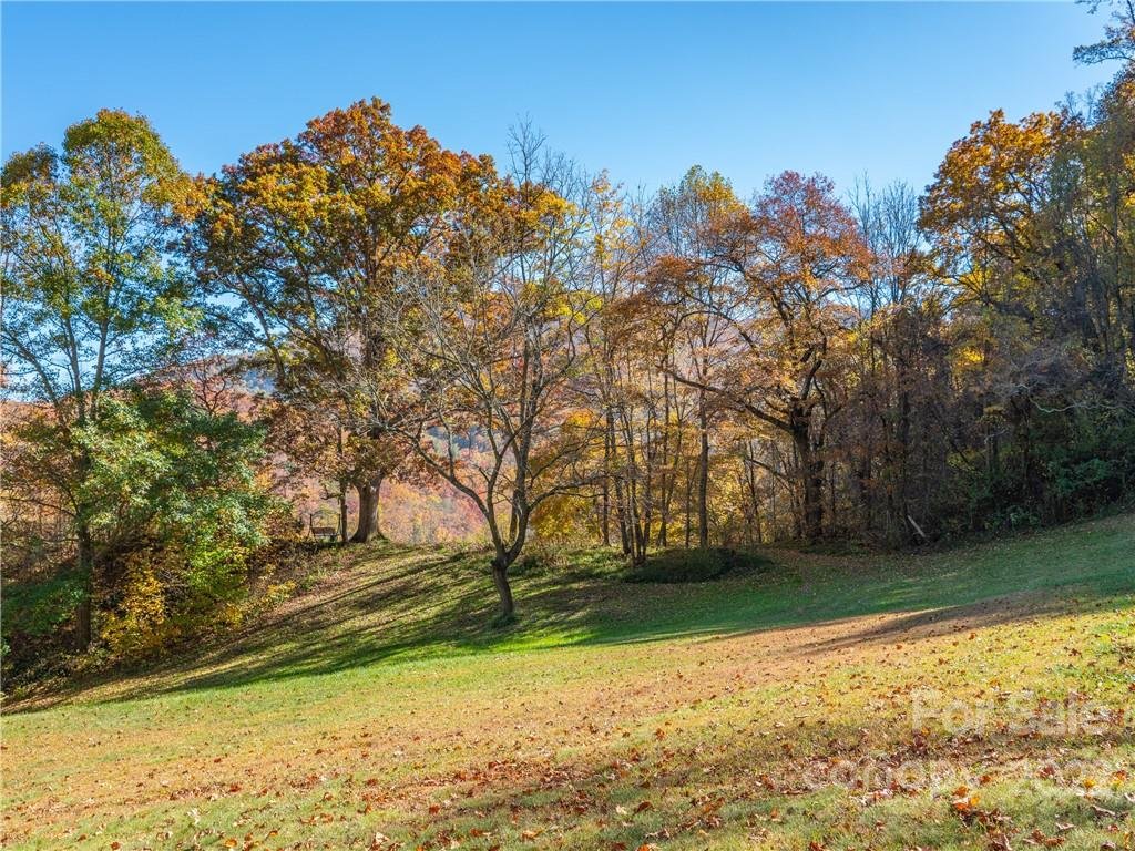 Property image 1 at 99999 Margaret Drive, Leicester, NC 28748