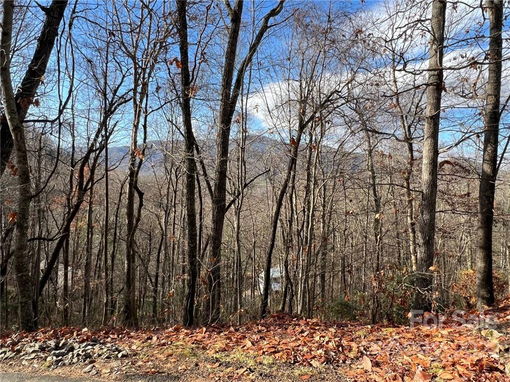 Property at 0 Alpine Ridge, Canton, NC 28716