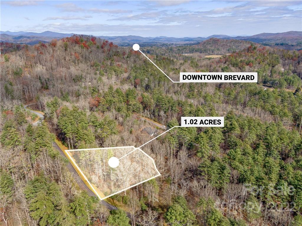 53r High Hemlock Trail