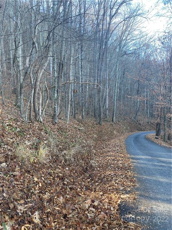 Property image 1 at Lot 37 Seven Glens Drive, Weaverville, NC 28787