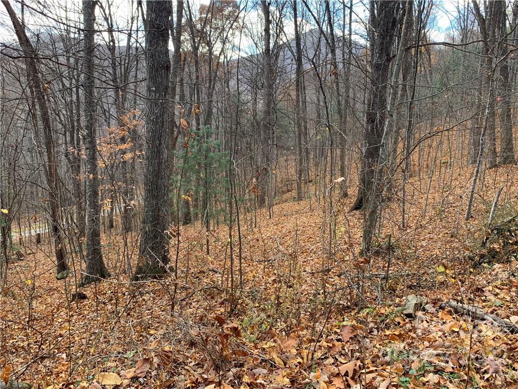 Property image 1 at 000 Wildwood Drive, Burnsville, NC 28714