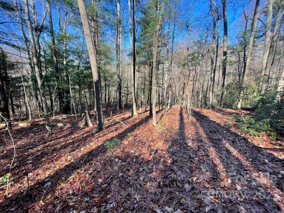 Property image 1 at 0 Omega Drive, Tryon, NC 28782