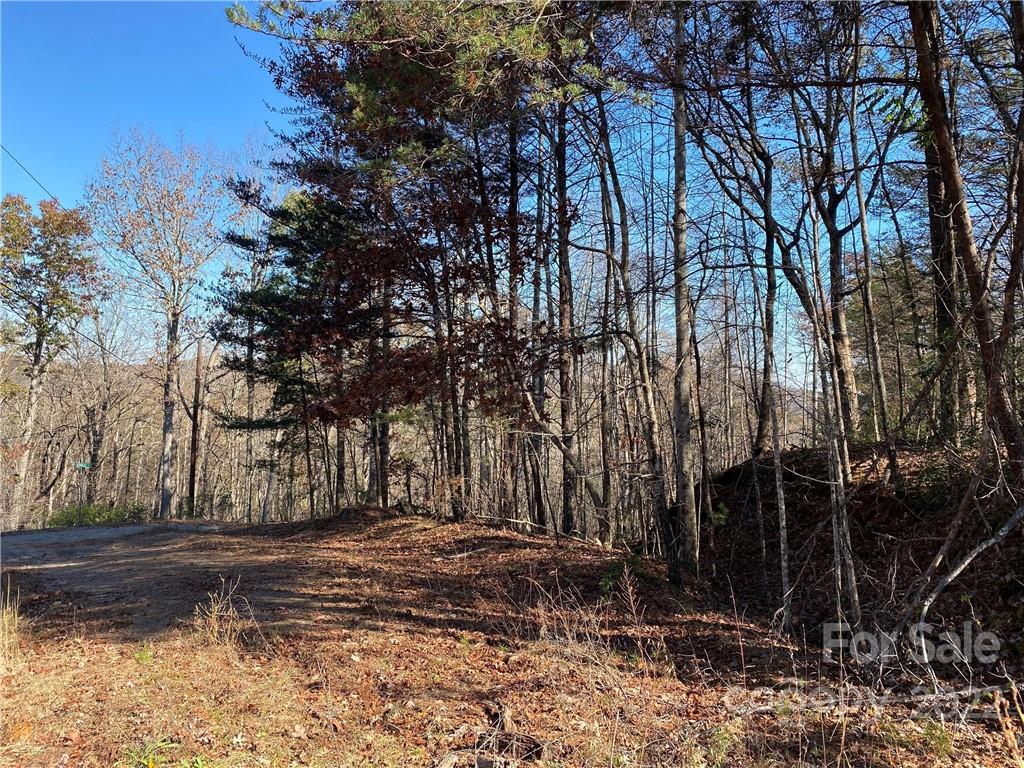 Property image 1 at 1090 Buffalo Shoals Road, Lake Lure, NC 28746