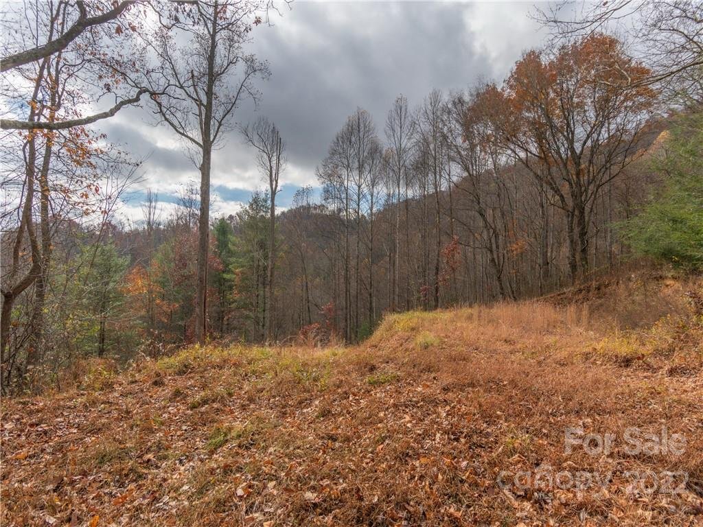 Property image 1 at 000 Point Of View Drive, Waynesville, NC 28785