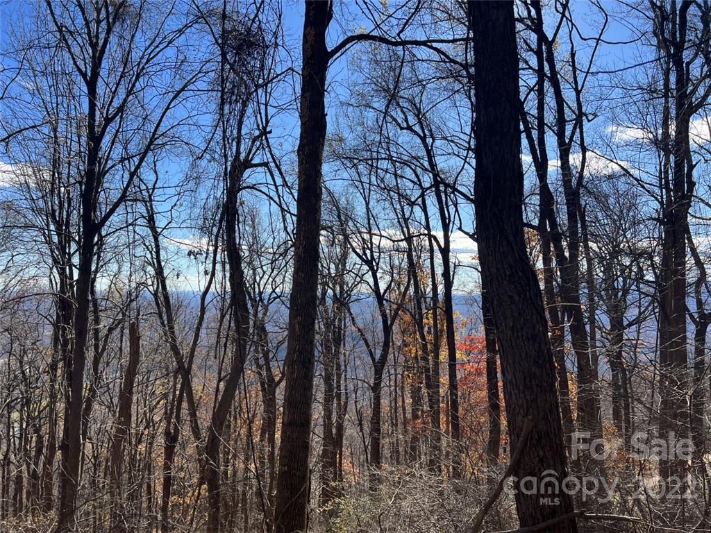 Property image 1 at 00 Hemlock Trail, Columbus, NC 28722