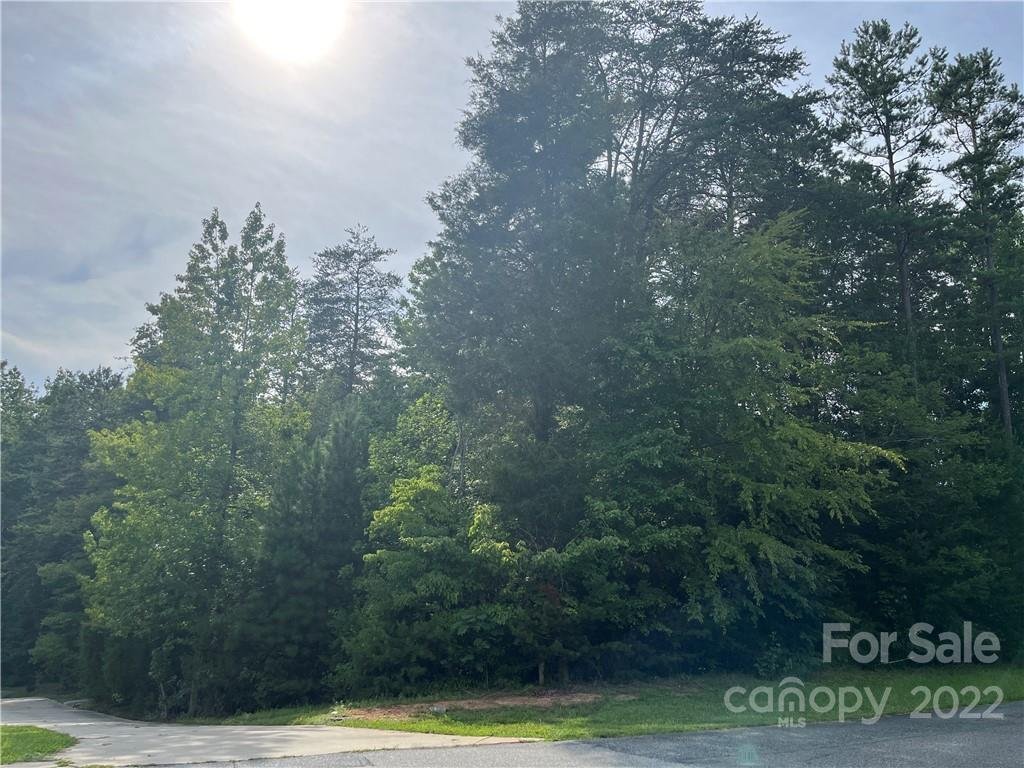 Property image 1 at 174 Twin Creeks Drive, Troutman, NC 28166