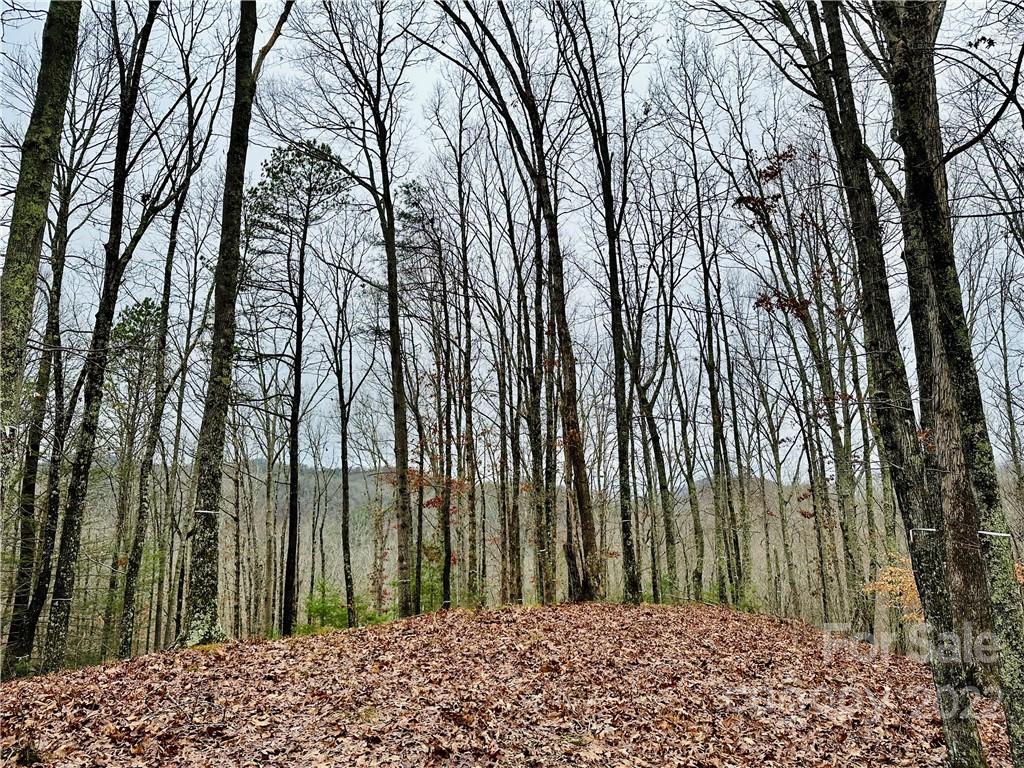 Property at 921 Wild River Run, Marshall, NC 28753