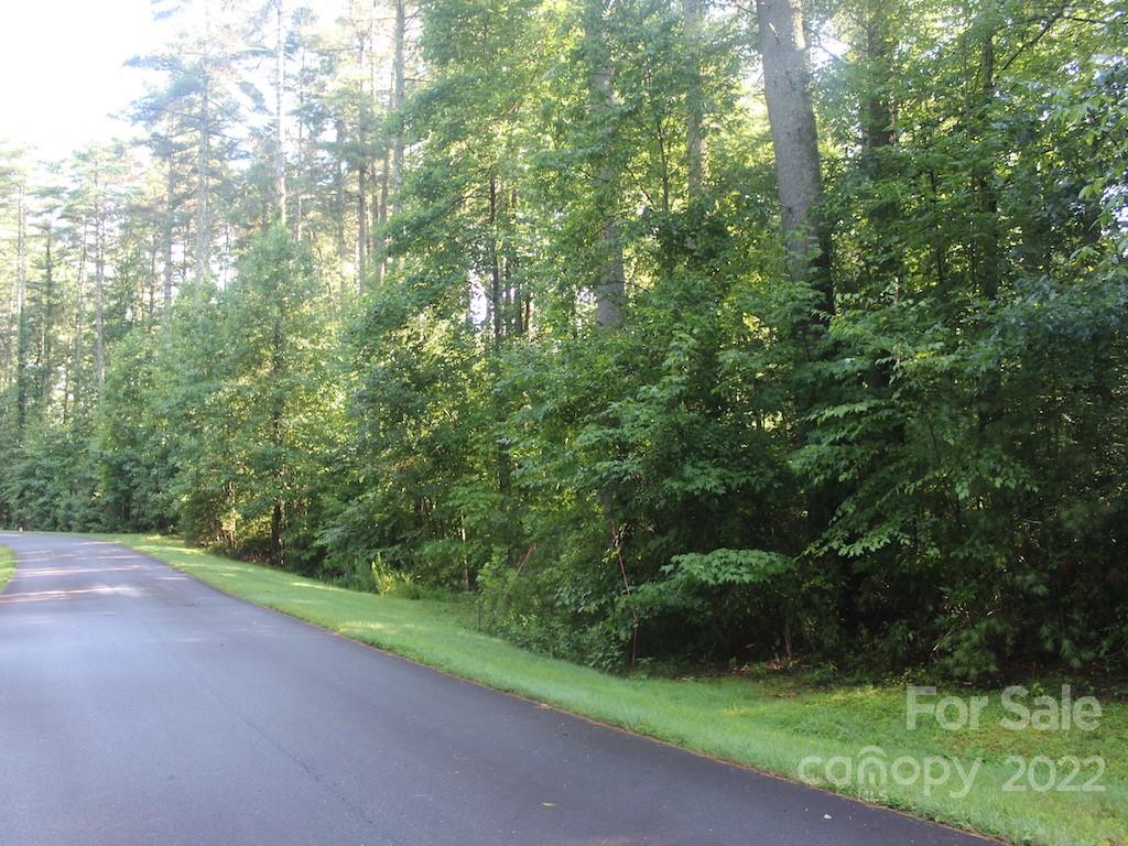 L49 Mountain Brook Trail