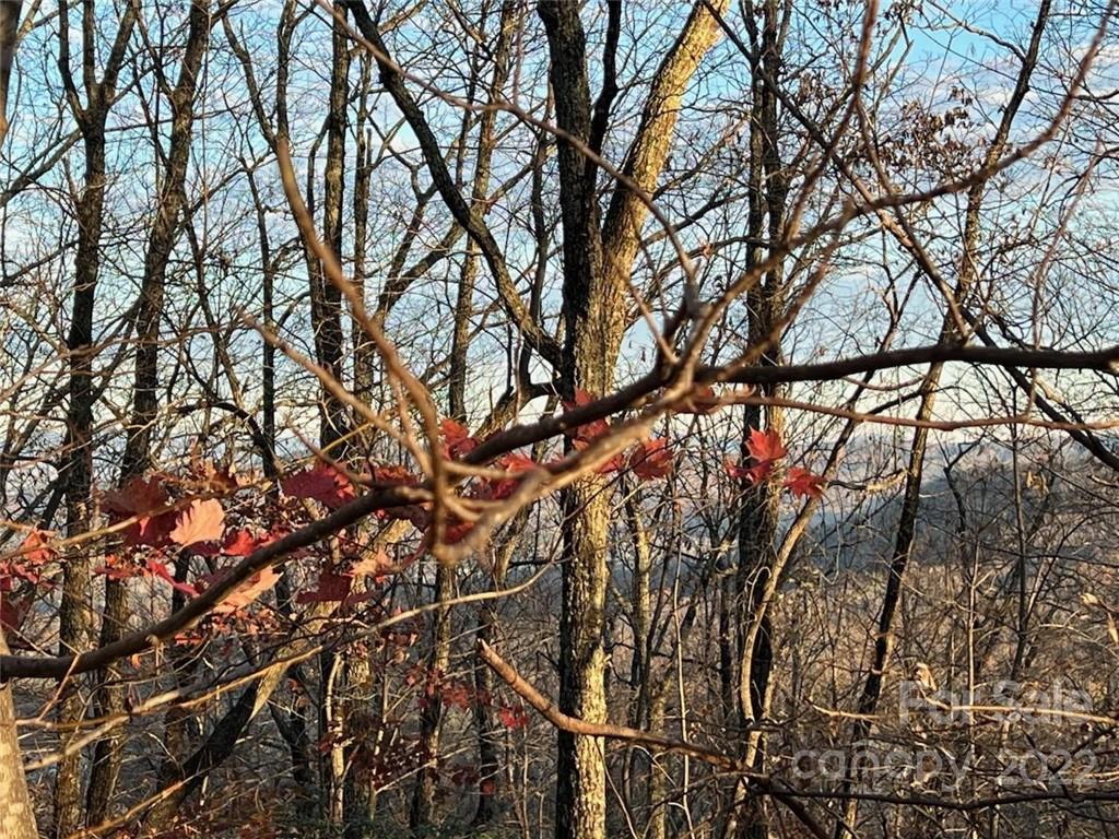 Property image 1 at Lot 75 Grants Mountain Road, Marion, NC 28752