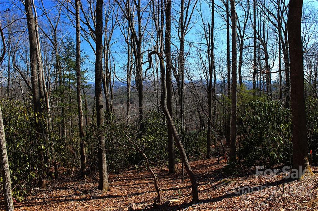 Property image 1 at 173 Garnet Way, Hendersonville, NC 28791