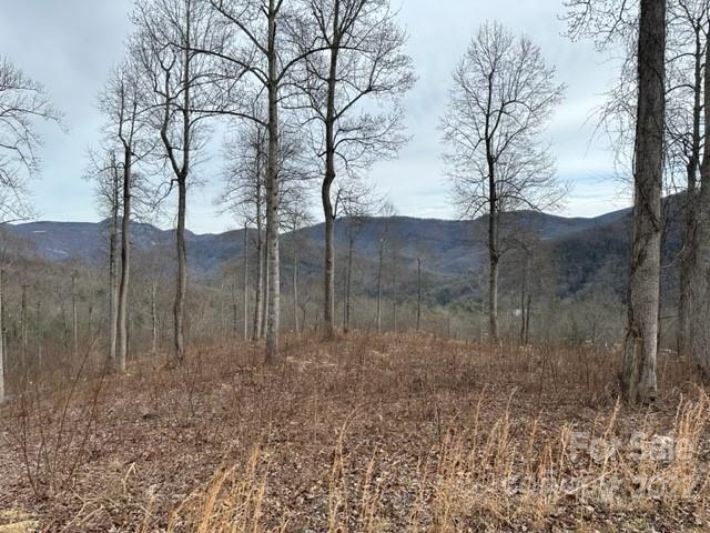 Property image 1 at 0000 Glen Haven Cove, Hendersonville, NC 28792