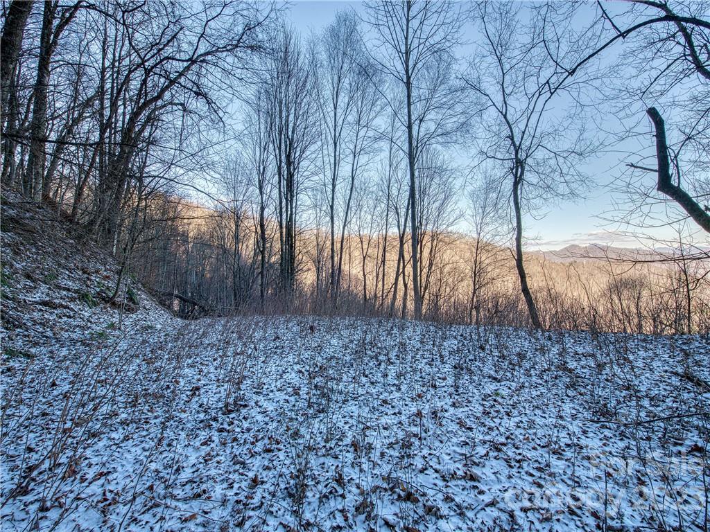 Property image 1 at Lot 240 Apple Creek Road, Waynesville, NC 28786