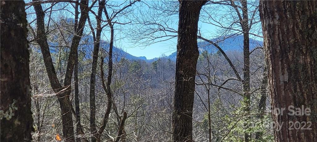 Lot 91 Black Oak Drive