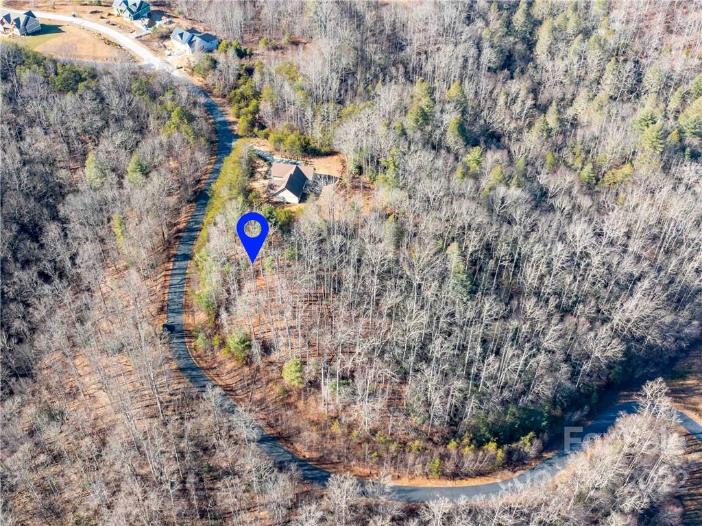 Property image 1 at 306 Summer Orchard Drive, Hendersonville, NC 28792