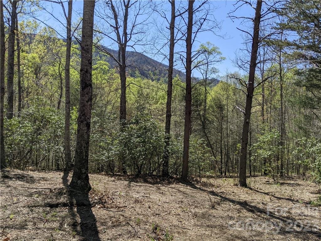 Property image 1 at C28 Nuthatch Lane, Black Mountain, NC 28711