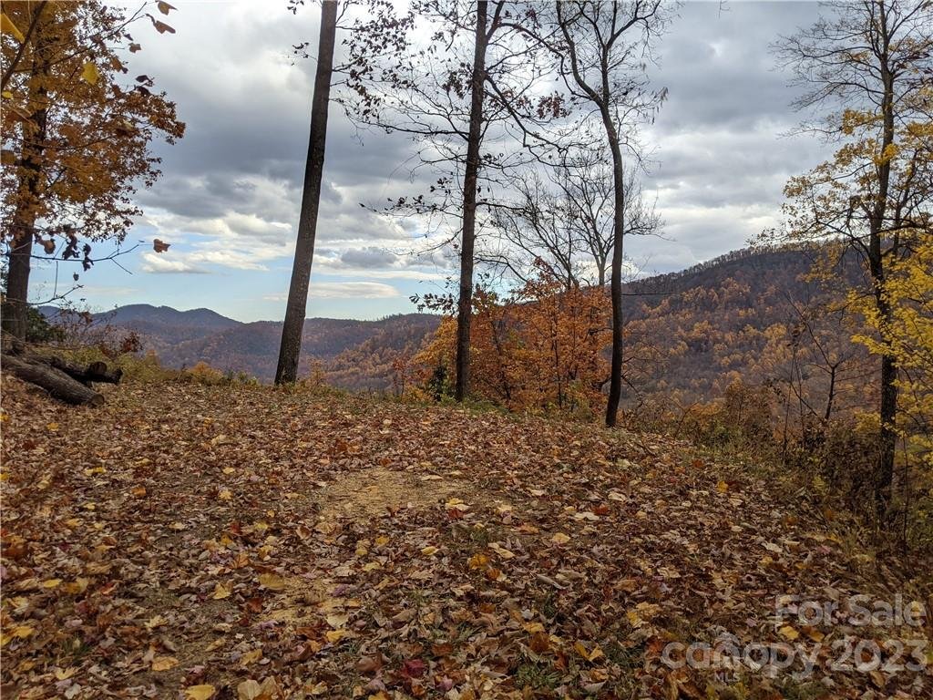 Property image 1 at 473 Kestrel Lane, Black Mountain, NC 28711