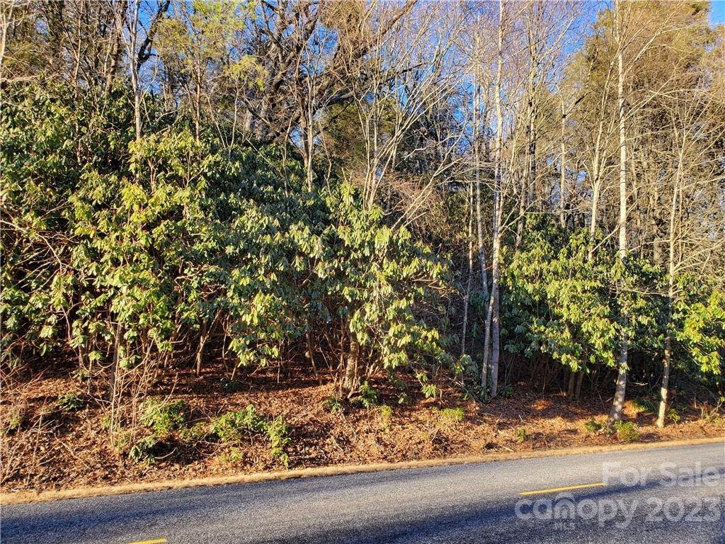 Property image 1 at 99999 Fairview Forest Drive, Fairview, NC 28730