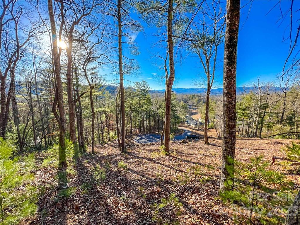 Property image 1 at 237 Crystal Mountain Drive, Hendersonville, NC 28739