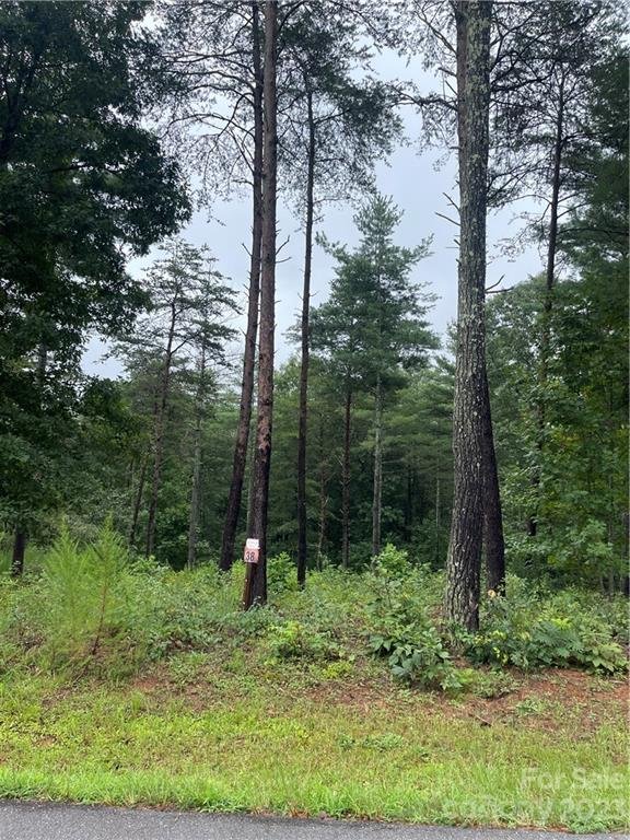 Property image 1 at 3146 Bear Paw Avenue, Valdese, NC 28690