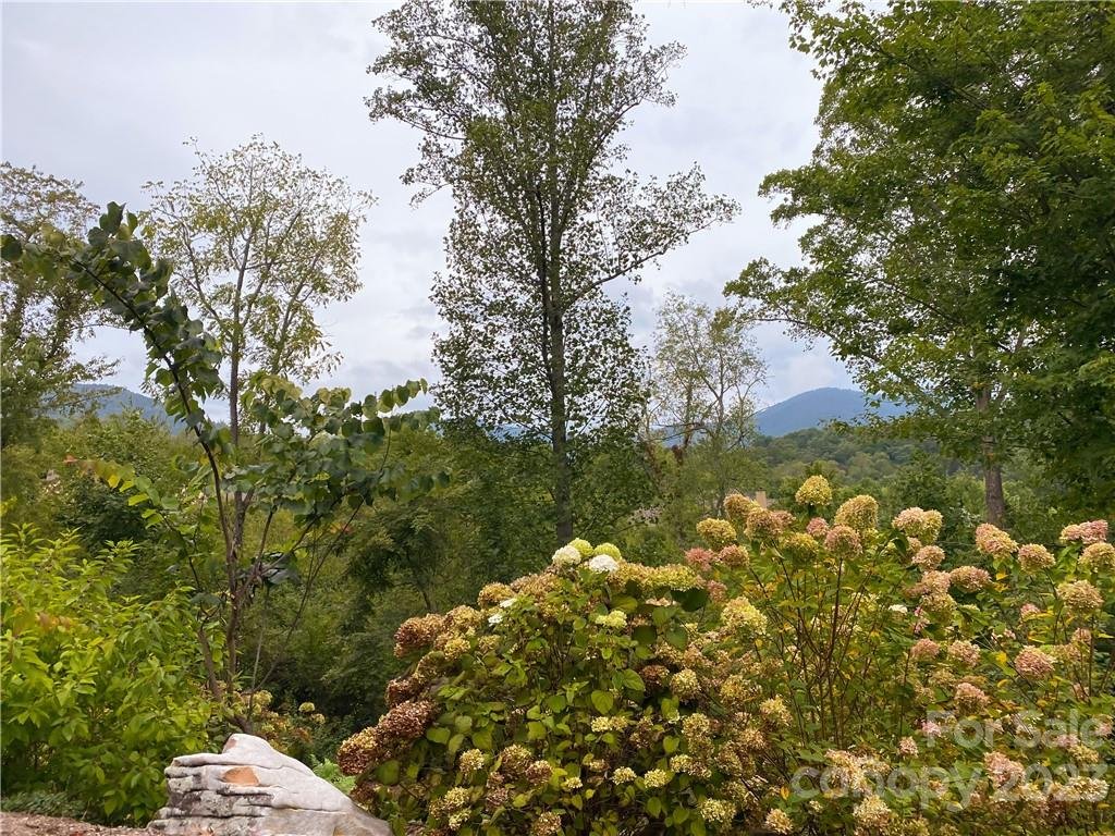 Property image 1 at 7 Magnolia View Trail, Asheville, NC 28804