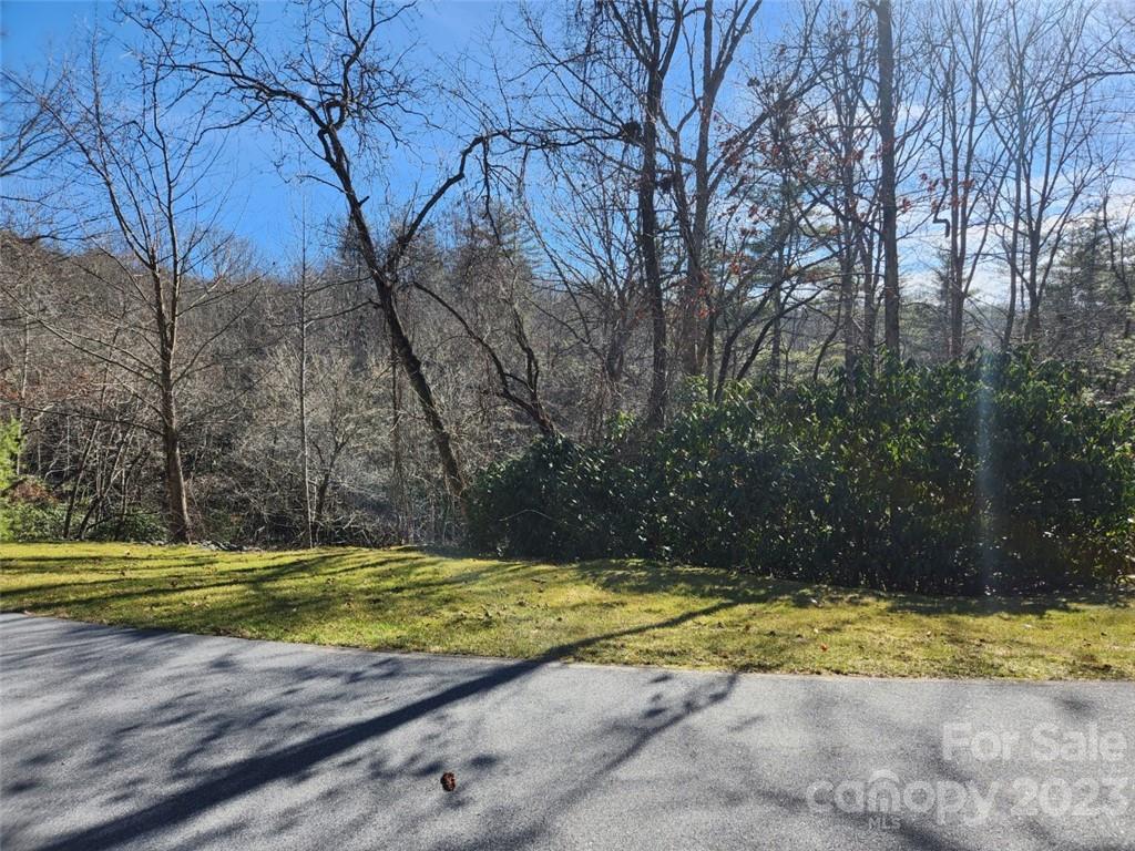 Property image 2 at 00 Blackgum Court, Hendersonville, NC 28739