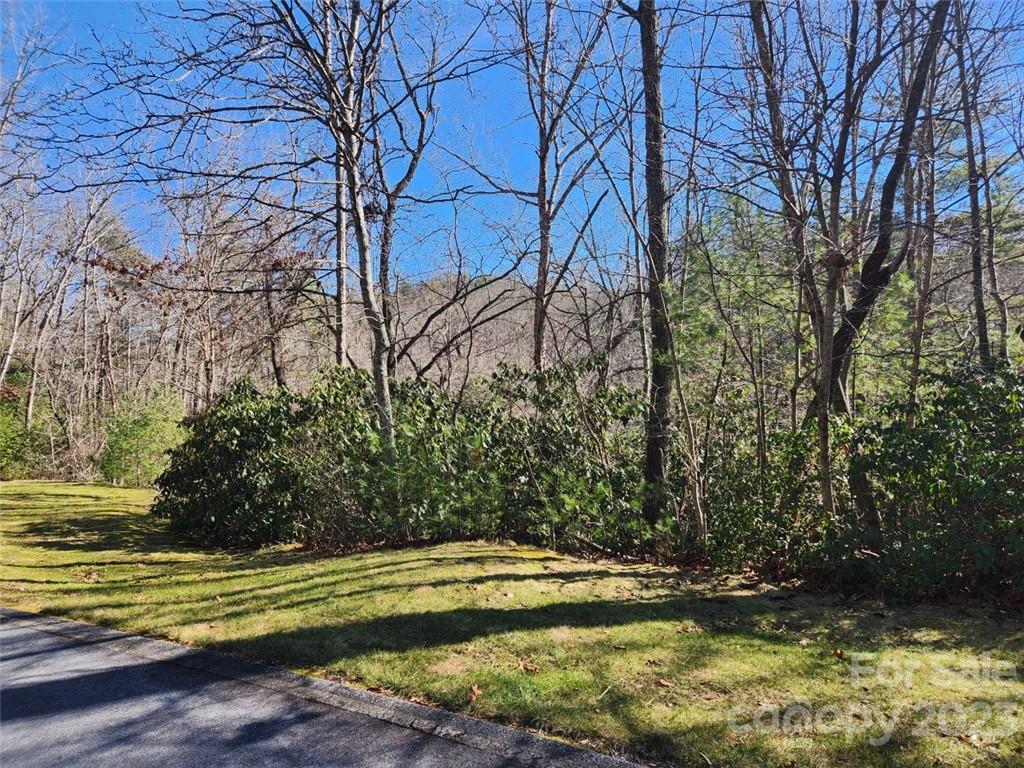 Property image 3 at 00 Blackgum Court, Hendersonville, NC 28739