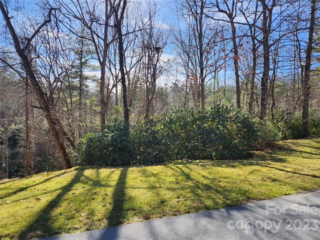 Property image 4 at 00 Blackgum Court, Hendersonville, NC 28739