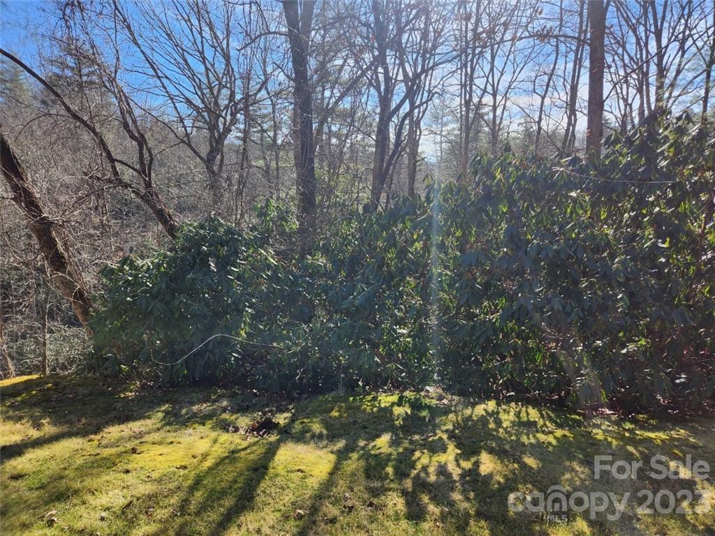 Property image 5 at 00 Blackgum Court, Hendersonville, NC 28739