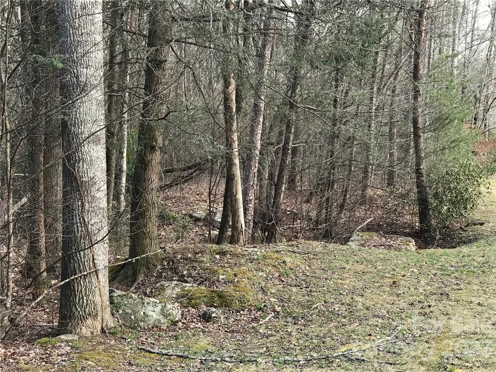 Property image 1 at 868 Wash Freeman Road, Hendersonville, NC 28792