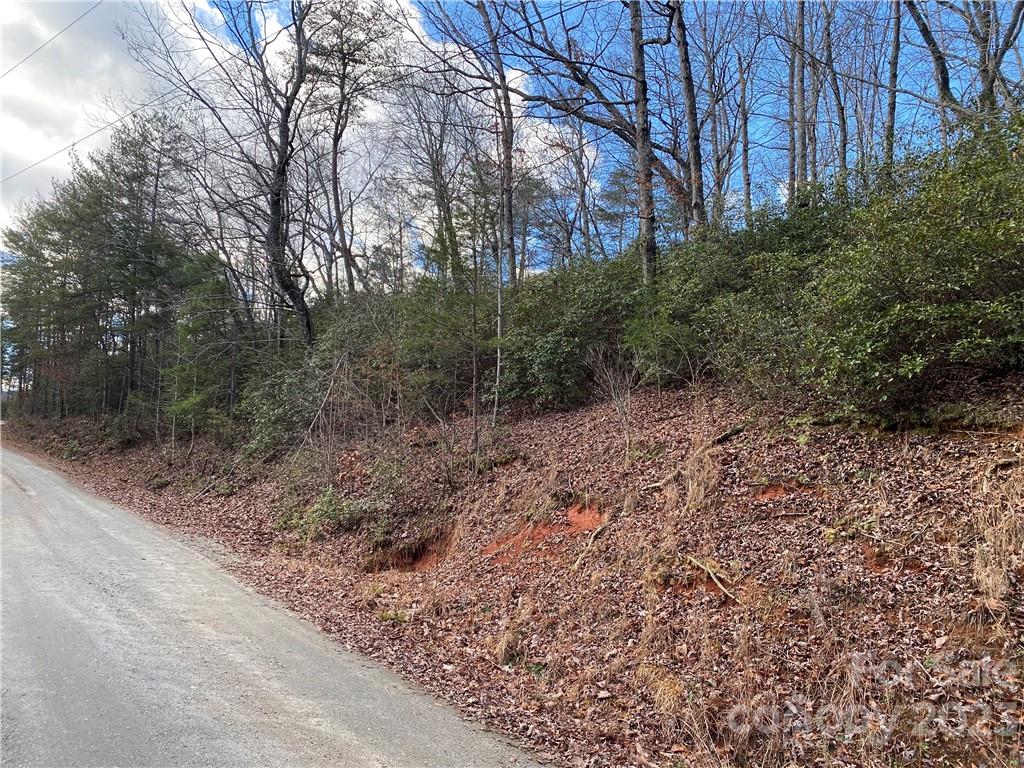 Property image 1 at Lot 117 Sanderling Court, Lake Lure, NC 28746