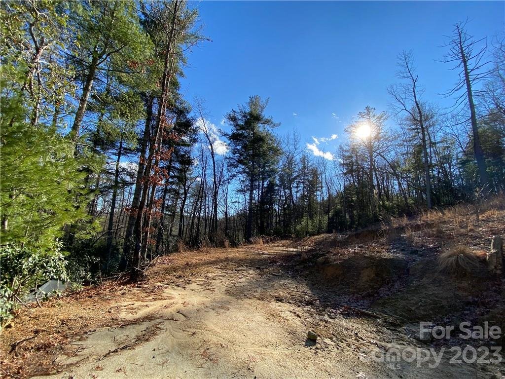 Property image 1 at 00000 Old Mt Olivet Road, Zirconia, NC 28790