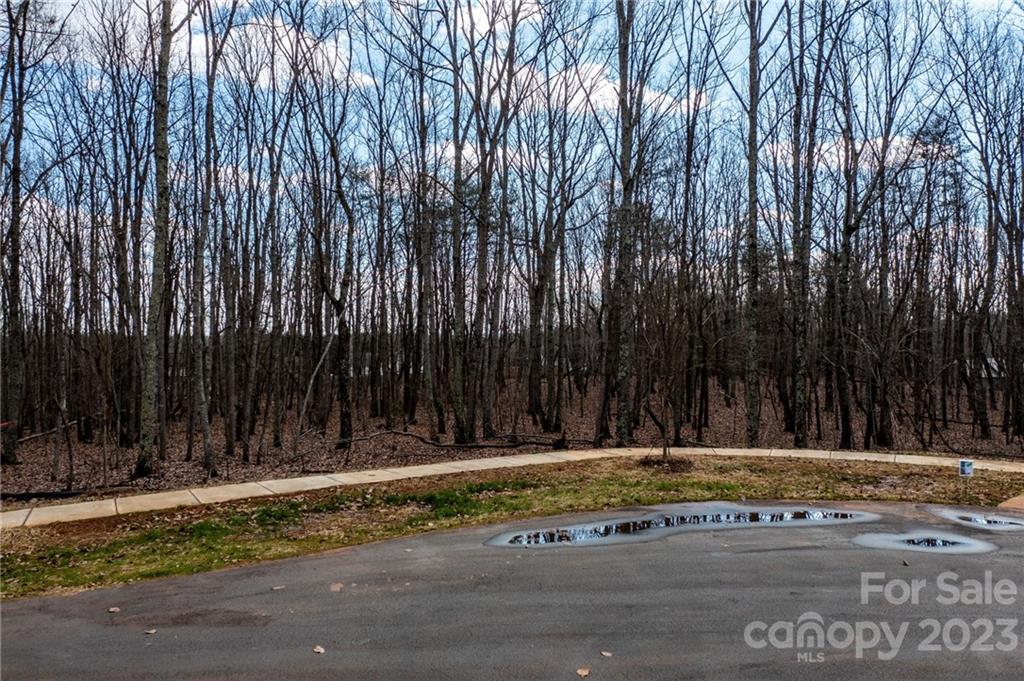 Property image 1 at Lot 13 Brancer Lane, Lincolnton, NC 28092